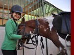 Clubul Equestria, Echitatie Si Relaxare, Langa Bucuresti 28